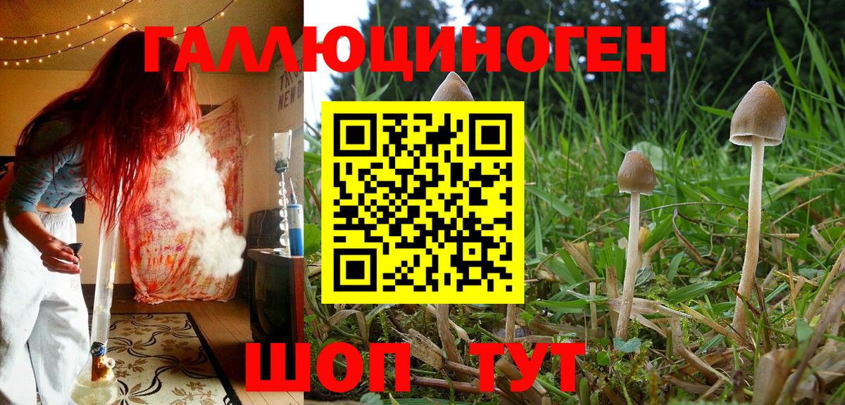 Псилоцибиновые грибы мухоморы Хасавюрт