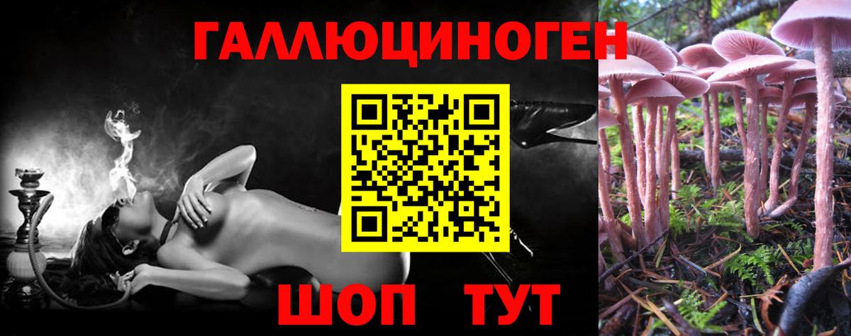 где можно купить наркотик  Вход с VPN  Псилоцибиновые грибы MAGIC MUSHROOMS  Хасавюрт  Псилоцибиновые грибы мицелий 